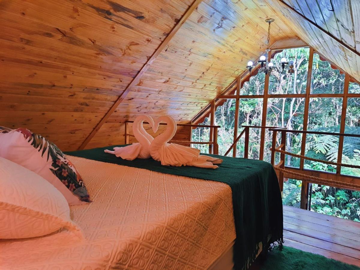 Chale Samambaia Holiday home
