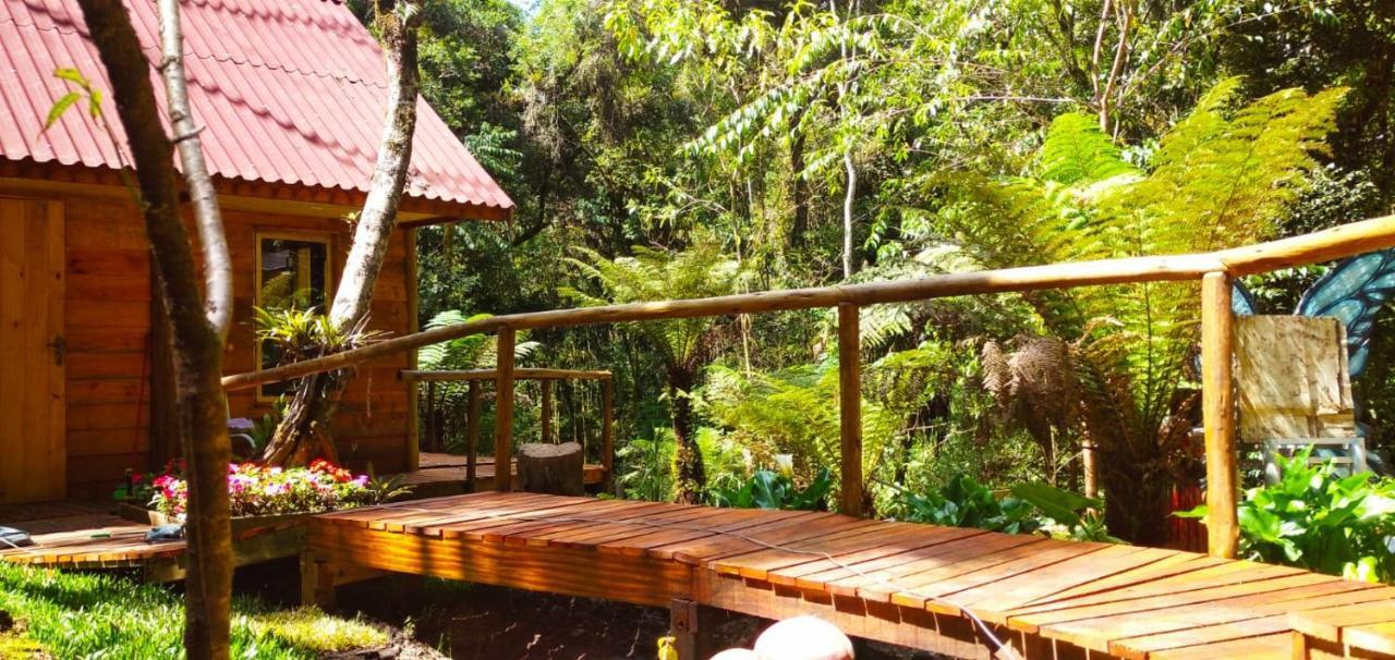 Casa de Férias Chale Samambaia Campos do Jordão