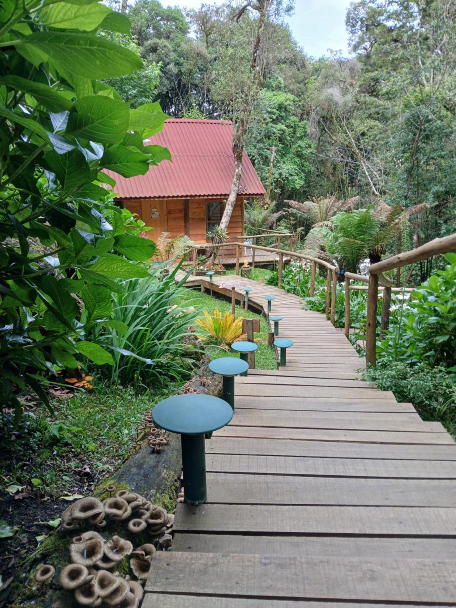 Casa de Férias Chale Samambaia